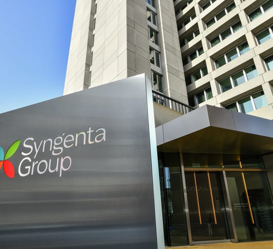 Syngenta reports 17% drop in sales in first half of 2024