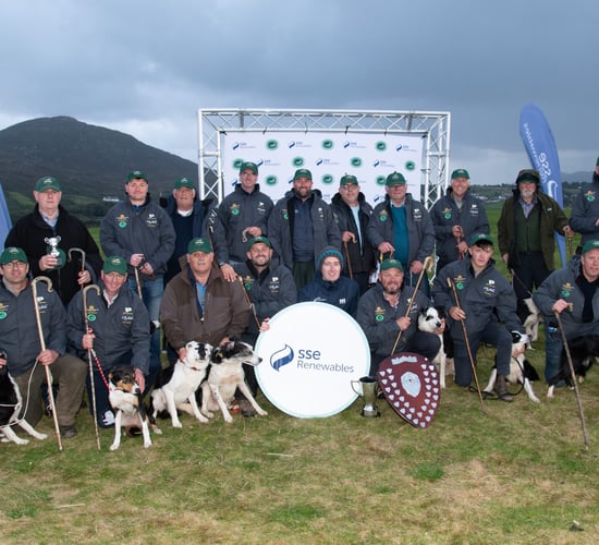 Down man claims singles title at Irish National Sheep Dog Trials