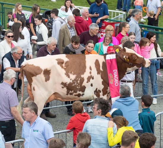 Judge for 2024 Baileys cow competition named