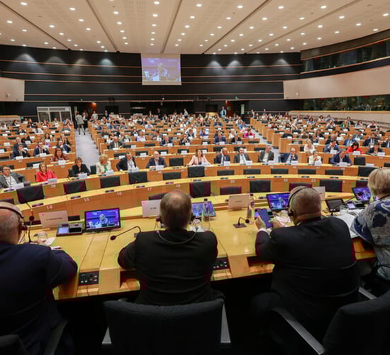 Cowen pledges to work on 'derogation' in EU AGRI committee role