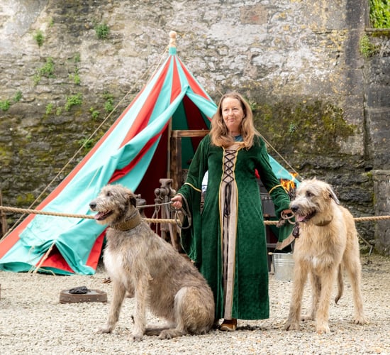 Rare breeds to be celebrated at Bunratty Castle &amp; Folk Park