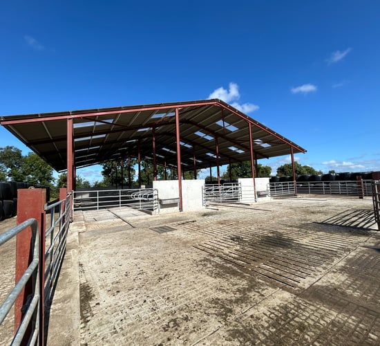 Buildings focus: Upgrading parlour and cubicles to farm seriously