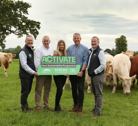 Dawn Meats and McDonald's launch €4.4m farm sustainability plan