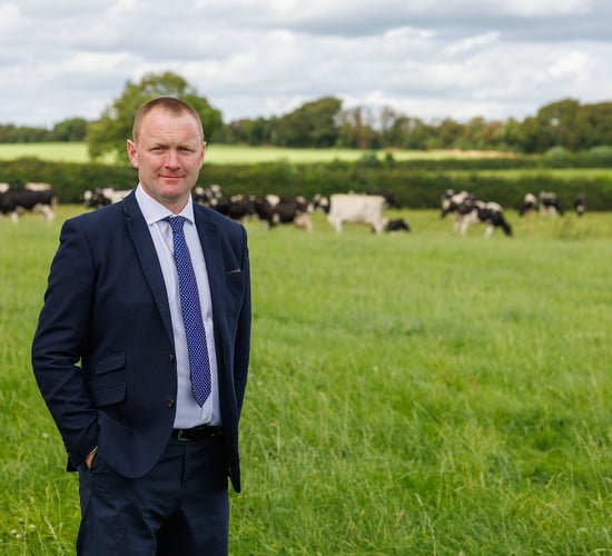 ICMSA calls for income volatility tax measure for farmers