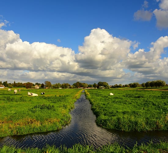 Report: Global ag and fish production to grow 14% by 2034
