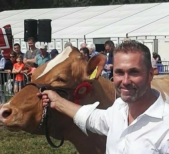 Tullamore Show: Judge announced for Holstein Friesian classes