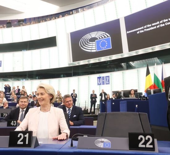Thomas Duffy: What will the next EU Parliament mean for farmers?