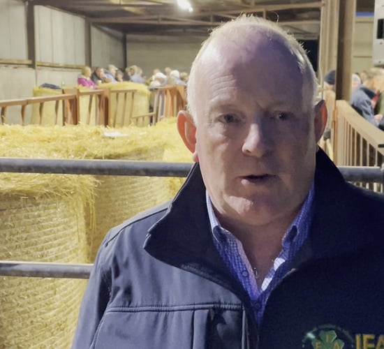 Gorman: 'Ongoing agricultural supports needed' in Budget 2026