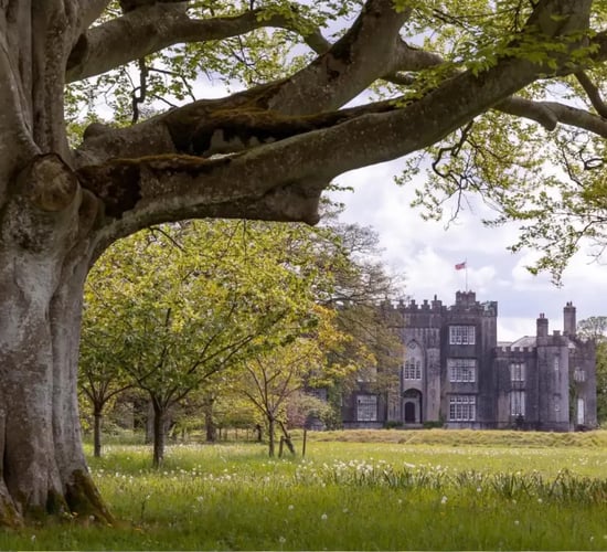 Birr Castle to host farmland biodiversity event