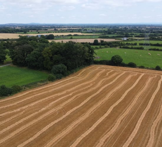 Watch: Harvest 2024 on a tillage farm and why straw decision was a 'bombshell'