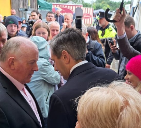 Farmers faced with 'multiple threats to their viability' - Gorman