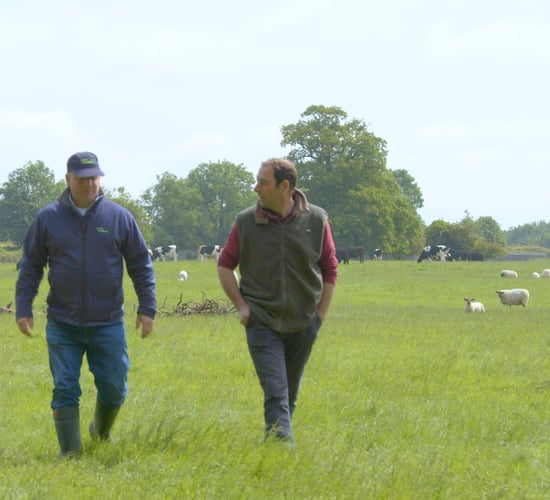 Flock Forwards, not Backwards Series: How to manage worms on farm
