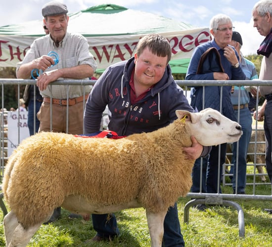 Mountbellew Agricultural Show celebrates 120th anniversary