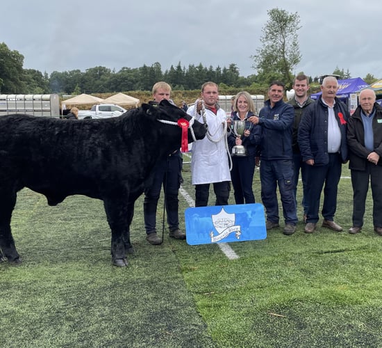 Virginia Show Champions from the beef-breed classes