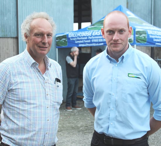 Sheep research profiled at EasyCare sheep open evening