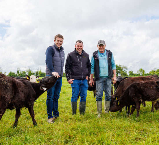 Milk formula 'works like a dream' for Meath calf-to-beef farmer