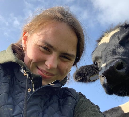 Irish students studying veterinary abroad 'need a link back home'