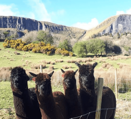 Leitrim to host first national trail conference