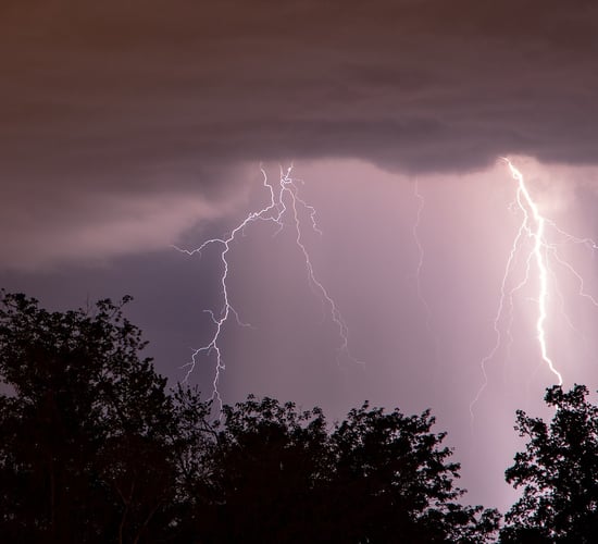 Cattle, sheep and horses killed after lightning strikes in Galway