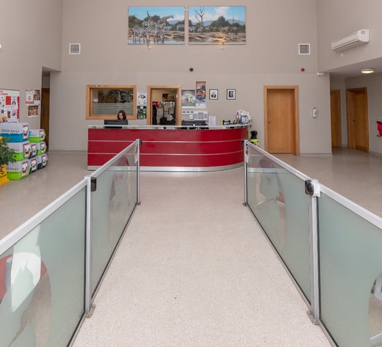 Veterinary business chain in process of acquiring Midleton practice