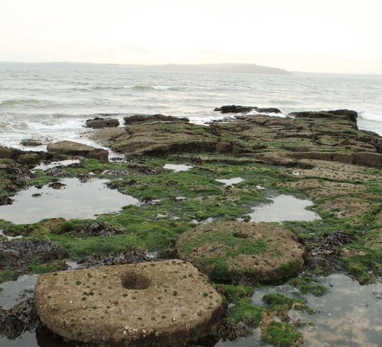 Millstone quarries serving as a reminder of Wexford's farming past
