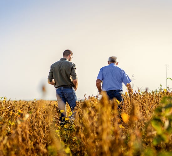 Half of NI farms impacted by inheritance tax changes - DAERA