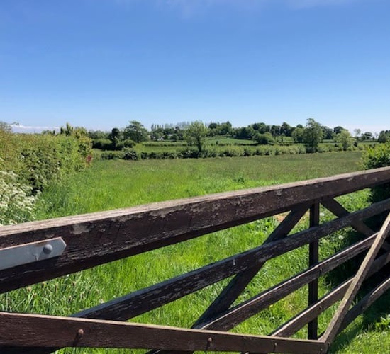 'Solution' to exclude farmland from RZLT before budget - Chambers
