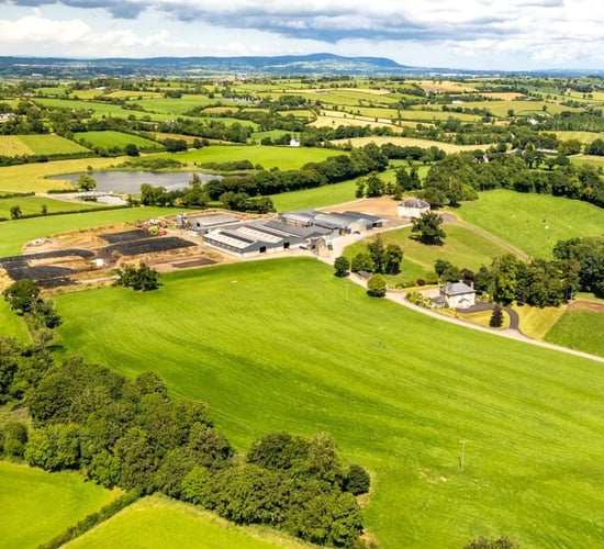 Co. Down: Large scale dairy farm hits the market for £6.5m