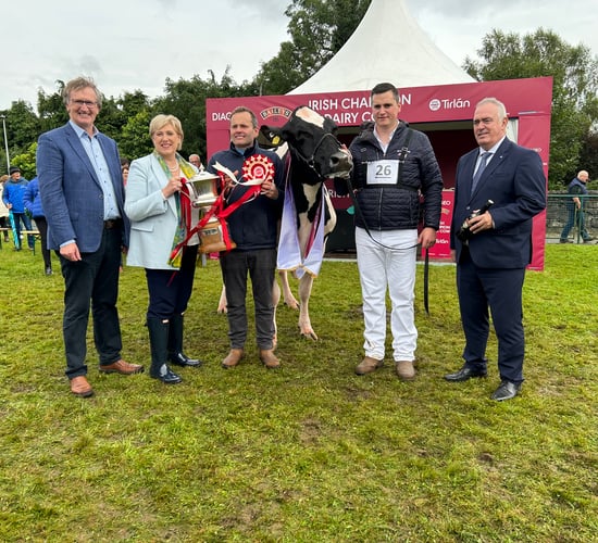 Who won the 2024 Baileys Irish champion dairy cow competition?