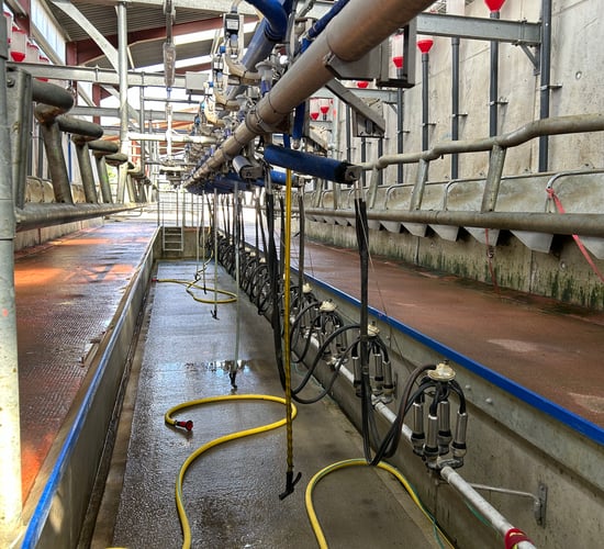 Milk processors called on to hold current prices