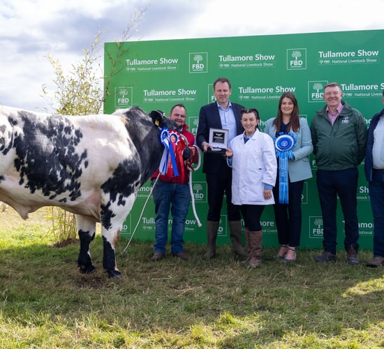 Watch: €6,000 prize up for grabs at Tullamore Show