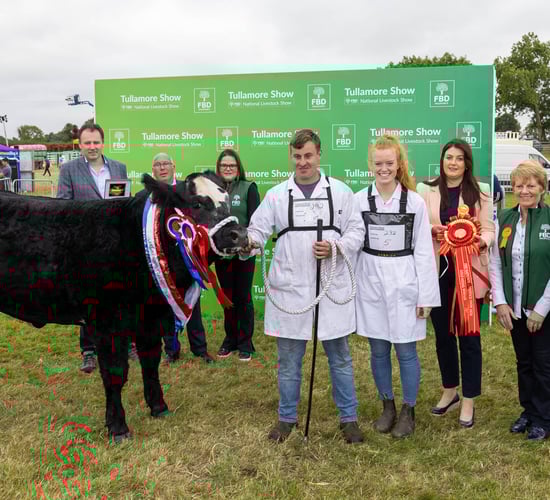 Gallery: Parade of Champions at Tullamore Show 2024