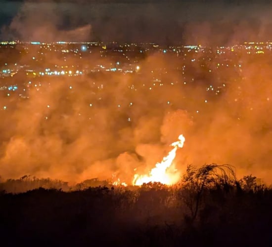 Fire engine remains at the scene of Co. Dublin gorse fire