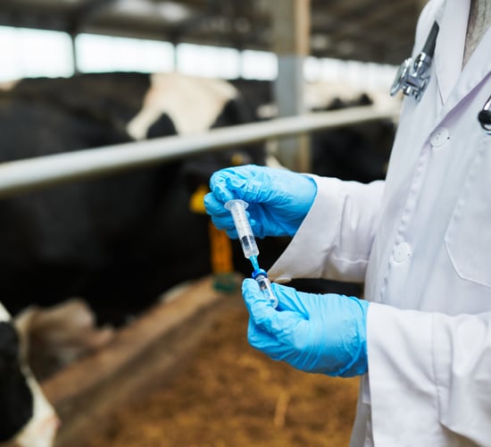 Ensuring vaccine availability 'vital' as demand 'highly likely' to rise in coming months