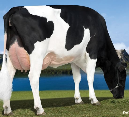 Milk components remain key priority for dairy farmers in NI