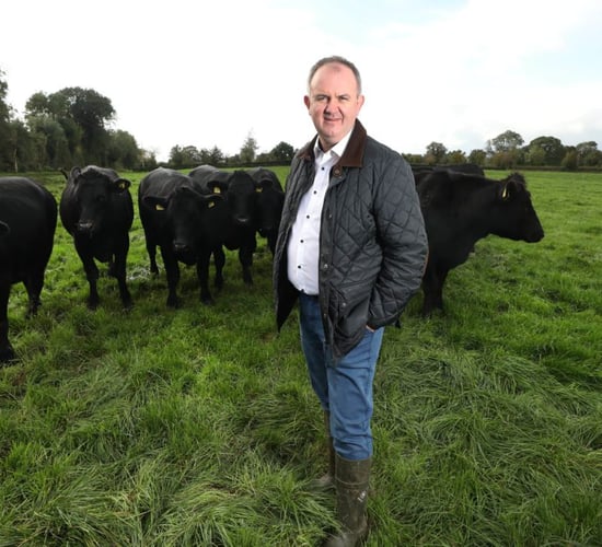 Certified Irish Angus taking bookings for 30c/kg bonus