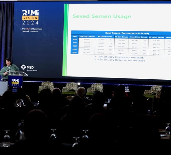 Dairy sire AI usage falling but beef on the rise
