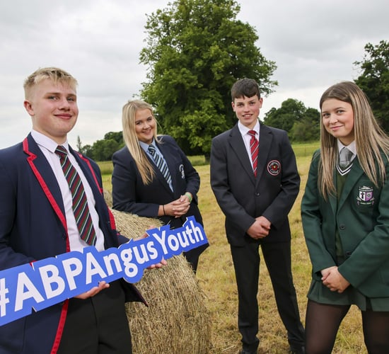 NI teenagers invited to enter ABP’s 'Angus Youth Challenge'