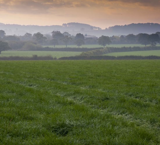 New Germinal varieties on England and Wales recommended list
