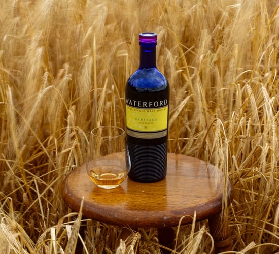 Waterford Distillery launches Heritage Barley variety