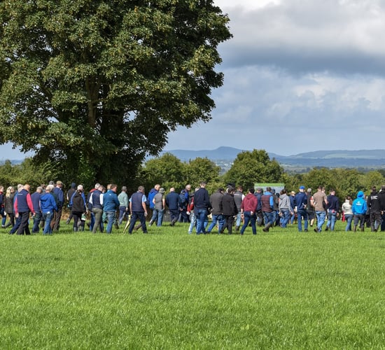 Toberfort Herd impresses at IHFA Focus Farm event