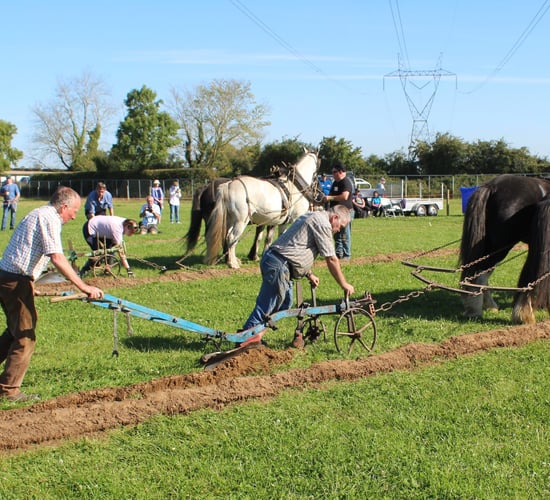 Horses take centre stage at day two of Ploughing 2024