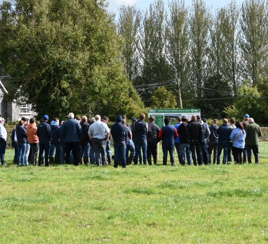 Watch: Copperbeech Herd draws crowds for IHFA Focus Farm event