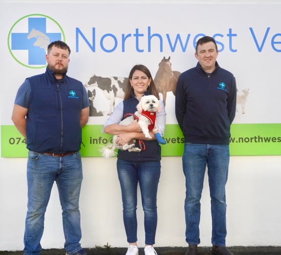 New Donegal vet practice aims to help with out-of-hours cover