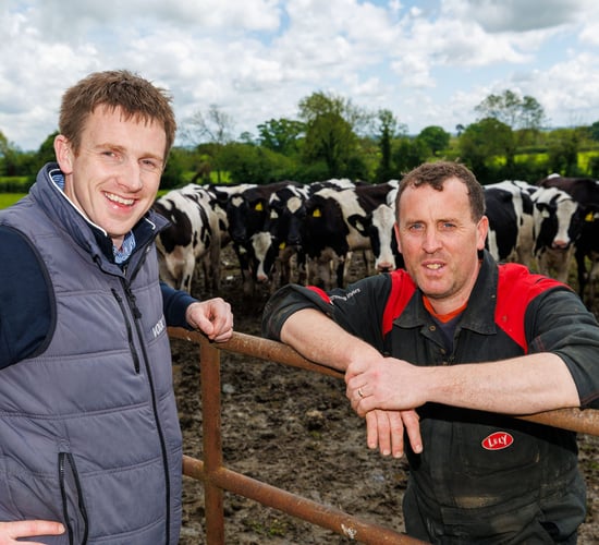 Meath dairy farmer lauds reliability and quality of milk replacer
