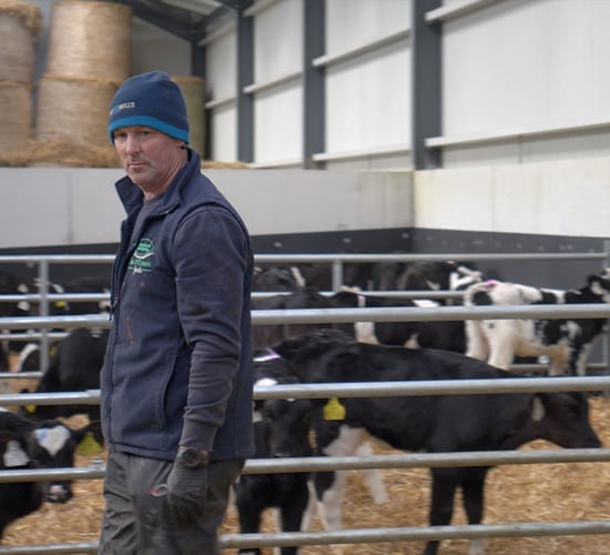 Watch: Optimising calf rearing with an automatic feeder