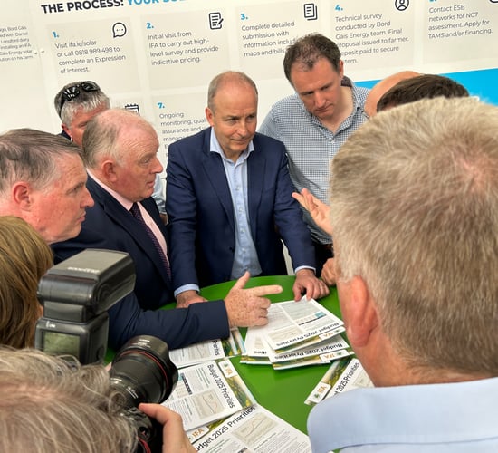 Tánaiste: Budget 2025 will be 'farmer friendly'