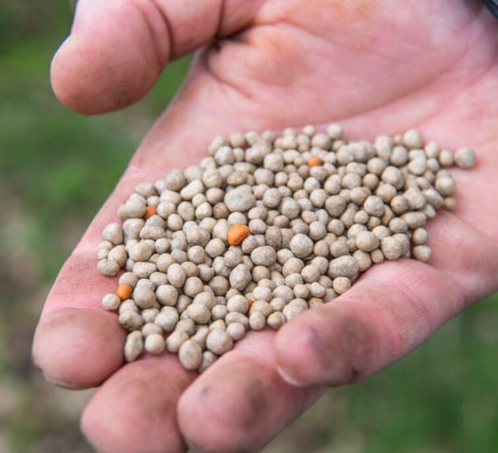 The importance of choosing high quality fertiliser
