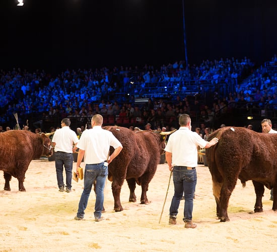 Major French agri-show 'Sommet' kicks off this week