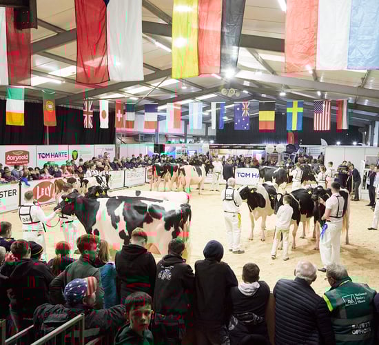 Judge announced for AXA National Dairy Show 2024